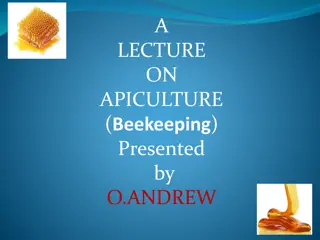 Comprehensive Guide to Apiculture: Beekeeping Essentials and Best Practices