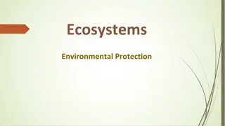 Understanding the Importance of Environmental Protection in Ecosystems