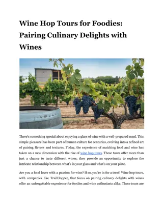 Wine Hop Tours for Foodies_ Pairing Culinary Delights with Wines