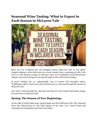 Seasonal Wine Tasting_ What to Expect in Each Season in McLaren Vale