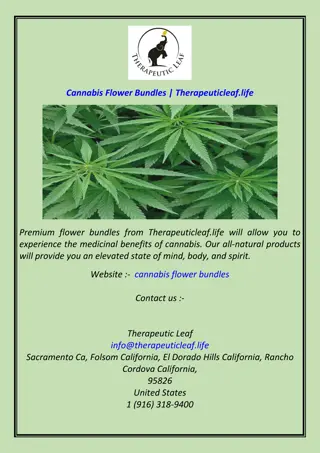 Cannabis Flower Bundles  Therapeuticleaf.life