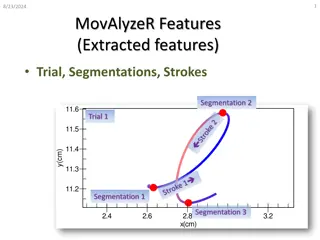 Analysis of Dynamic and Static Features in MovAlyzeR