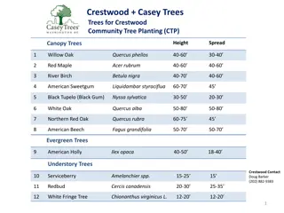 Crestwood Community Tree Planting - Tree Species Overview