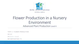 Advanced Flower Production Techniques in a Nursery Environment