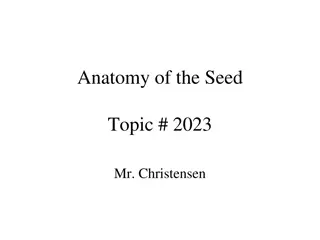 Seed Anatomy and Germination Processes