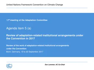 Review of Adaptation-Related Institutional Arrangements Under the Convention in 2017