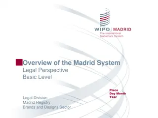 Understanding the Madrid System: Legal Aspects and Application Process