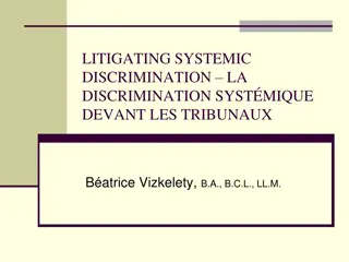 Fighting Systemic Discrimination Through Litigation: A Legal Perspective