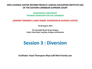 Juvenile Justice Diversion Programs: Principles and Importance