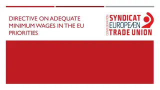 Directive on Adequate Minimum Wages in the EU Priorities