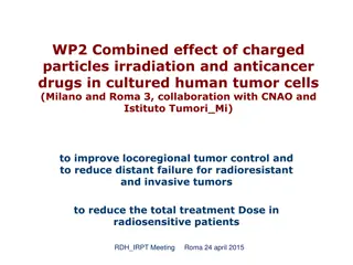 Combined Effect of Charged Particles Irradiation and Anticancer Drugs in Cultured Human Tumor Cells