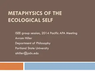 Metaphysics of the Ecological Self and Monism in Philosophy