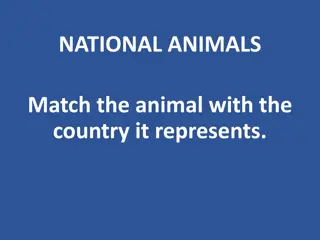 Discover National Animals and Their Represented Countries