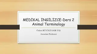 Animal Terminology in Livestock Farming