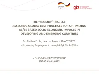 Global Best Practices for Optimizing RE/EE Socio-Economic Impacts