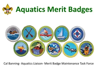 Insights into Aquatics Merit Badges Maintenance and Review Process