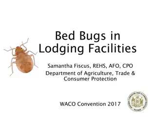 Understanding Bed Bugs in Lodging Facilities