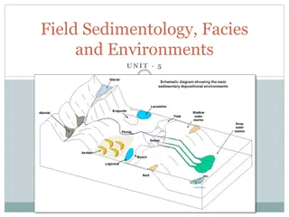 Field Sedimentology: Methods and Tools for Sedimentary Studies