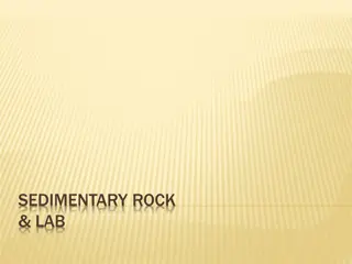 Understanding Sedimentary Rocks and Their Formation