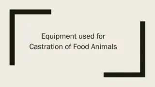 Equipment Used for Castration and Testectomy in Food Animals