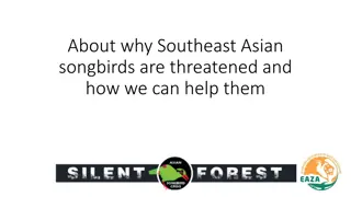 Protecting Southeast Asian Songbirds: Conservation Efforts and Challenges