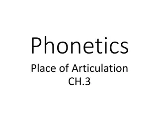 Articulation in Phonetics and Speech Production