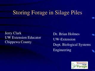 Effective Strategies for Storing Forage in Silage Piles