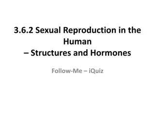 Testosterone and Sexual Reproduction in Human Males