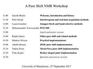 Pure Shift NMR Workshop: Advancements and Insights