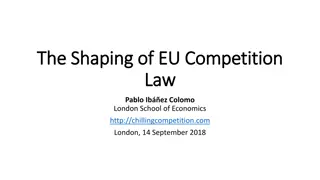 Exploring the Relationship Between Institutions and Substance in EU Competition Law