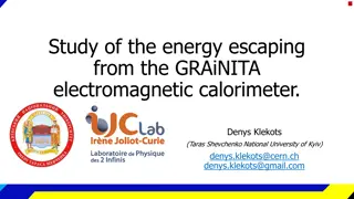 Energy Escaping Study in GRAiNITA Electromagnetic Calorimeter