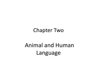 Uniqueness of Human Language and Communication Contrasted with Animal Communication