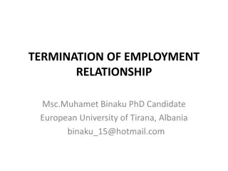 Termination of Employment Relationships: Legal Aspects and Procedures