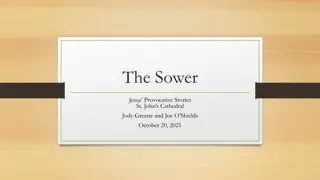 The Parable of the Sower: Insights from Different Gospels and Art