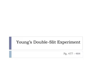 Understanding Young's Double-Slit Experiment and Interference Patterns