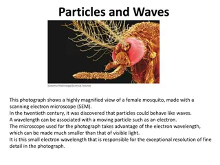 Dual Nature of Particles and Waves in Physics