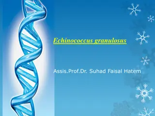 Echinococcus Granulosus and Hydatid Disease