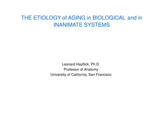 Unveiling the Etiology of Aging in Biological Systems