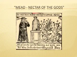 Unveiling the Secrets of Mead: History, Making Process, and Fermentation