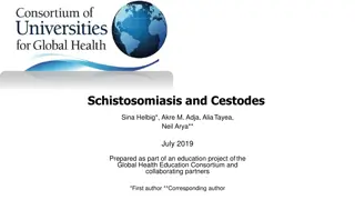 Schistosomiasis and Cestodes: A Comprehensive Overview