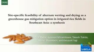 Feasibility of Alternate Wetting and Drying as a GHG Mitigation Option in Rice Fields