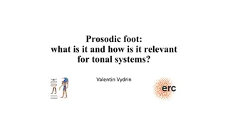 Prosodic Foot and Its Relevance in Linguistics