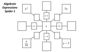 Algebraic Expressions Spider - Practice and Answers