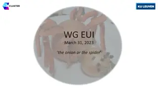 Internationalization Strategies for European University Alliances: The Onion or The Spider Approach