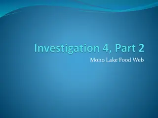 Exploring the Mono Lake Food Web and Ecosystem Interactions