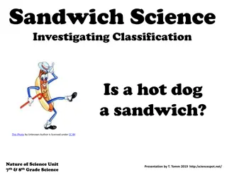 Exploring the Sandwich Science: Hot Dog Classification & Science in Action