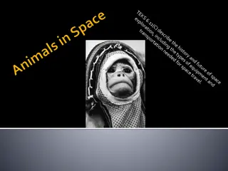 Space: Pioneers, Missions, and the Role of Animals