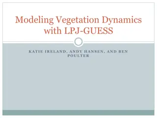 Understanding Vegetation Dynamics with LPJ-GUESS Modeling