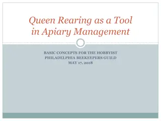 Queen Rearing in Apiary Management