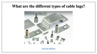 What are the different types of cable lugs?